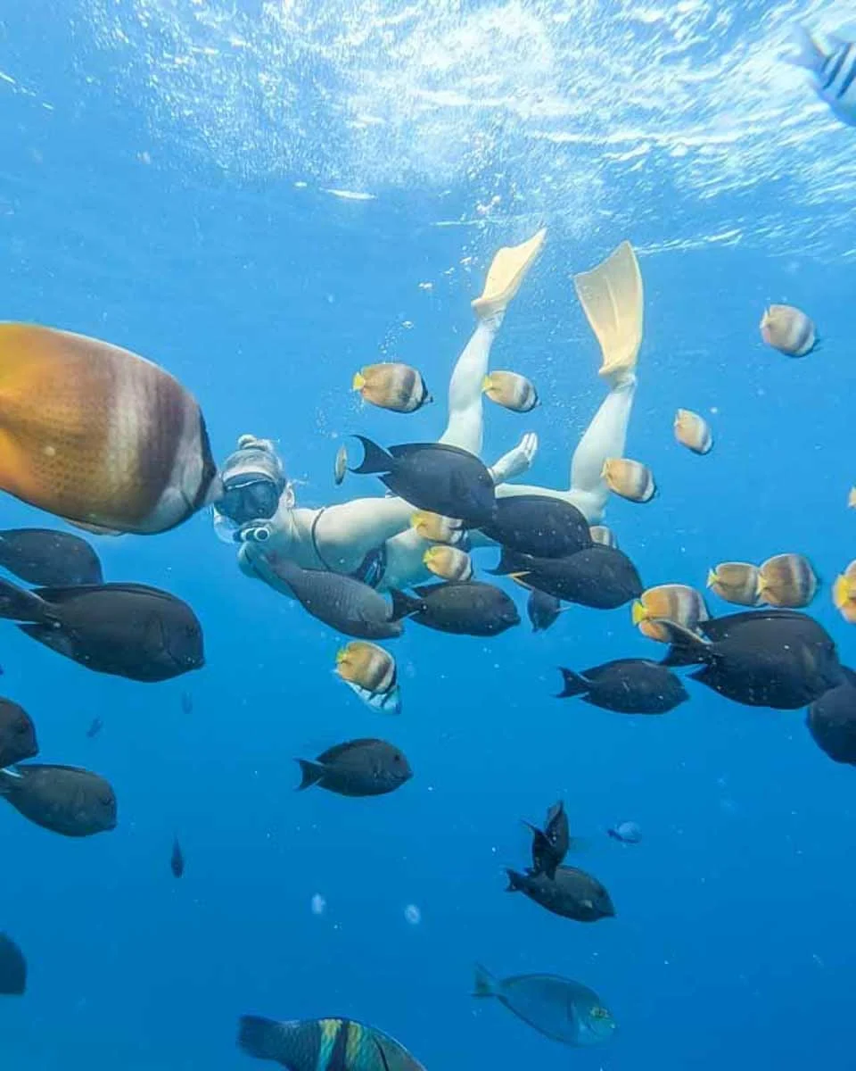 Read more about the article 10 Best Things to do in Bonaire 