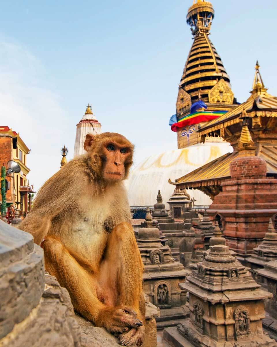 Read more about the article How to Spend THREE DAYS in Kathmandu, Nepal: The Best 3-Day Itinerary