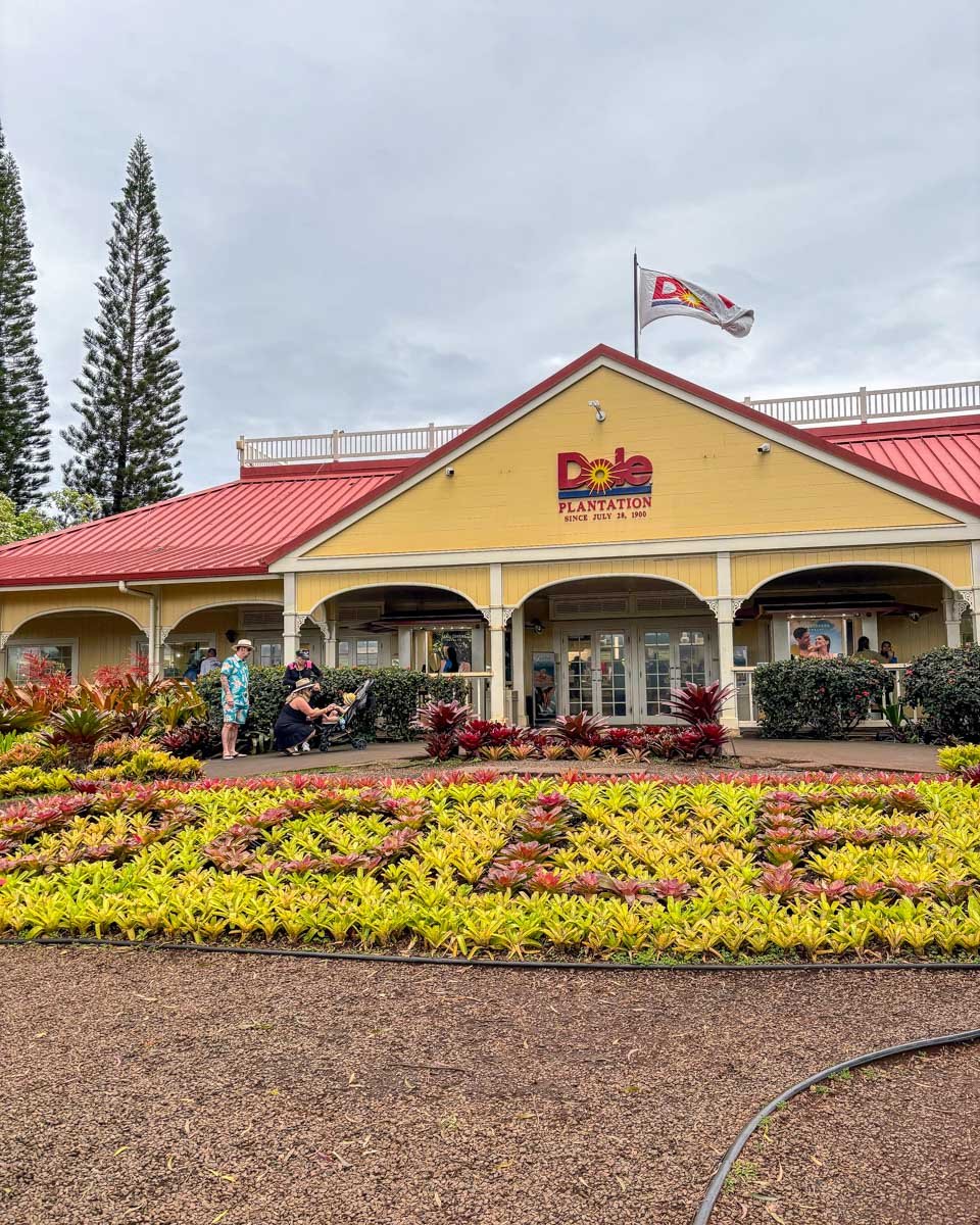 You are currently viewing 5 Best Circle Island Tours on Oahu: Which One to Choose