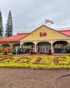 Read more about the article How to Spend FIVE Days in Waikiki, Hawaii: The Best 5-Day Itinerary