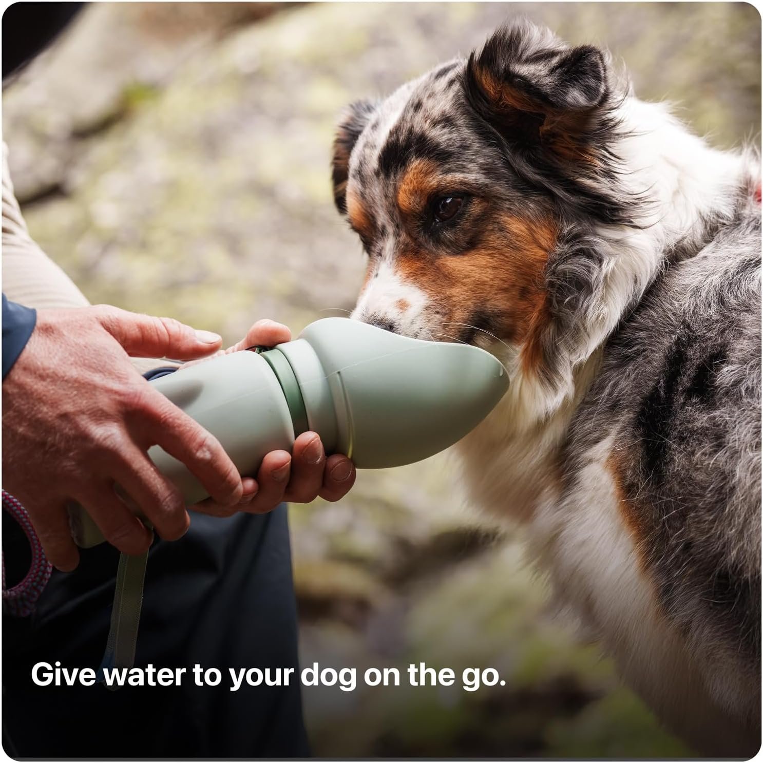 SÄKER Portable Dog Water Bottle, Collapsible Water Bottle for Dogs Perfect for Walking, Hiking and Outdoors | Works as a Portable Water Bowl | Designed in Montreal - 550ml - Image 2