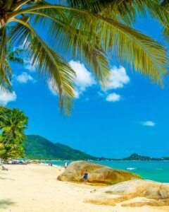 Read more about the article <div>Where to Stay on Koh Samui, Thailand: 4 Best Areas & Hotels</div>