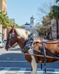 Read more about the article 10 Awesome Things to do in Charleston, South Carolina