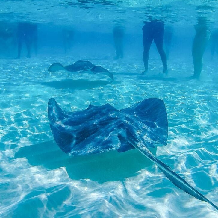 Read more about the article How to Spend THREE DAYS in Grand Cayman: The Best 3-Day Itinerary