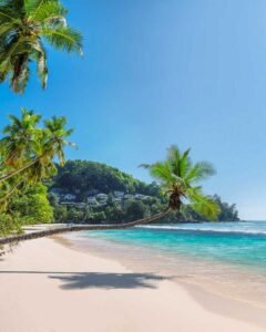 Read more about the article <div>Where to Stay in Seychelles: 3 Best Areas & Hotels</div>