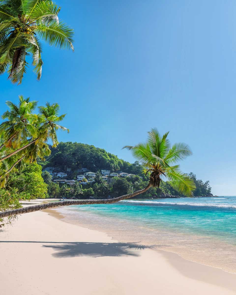 Read more about the article <div>Where to Stay in Seychelles: 3 Best Areas & Hotels</div>
