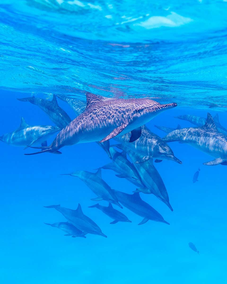 Read more about the article 12 Best Things to do in Zanzibar, Tanzania