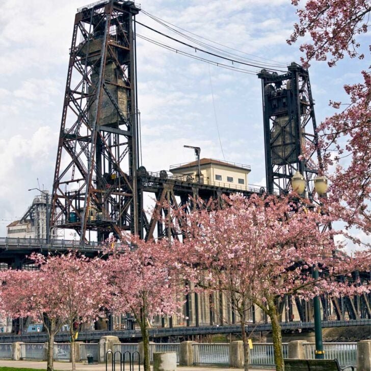 Read more about the article <div>Where to Stay in Portland, Oregon: 4 Best Areas & Hotels</div>