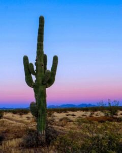 Read more about the article How to Spend THREE Days in Scottsdale, Arizona: The Best 3-Day Itinerary