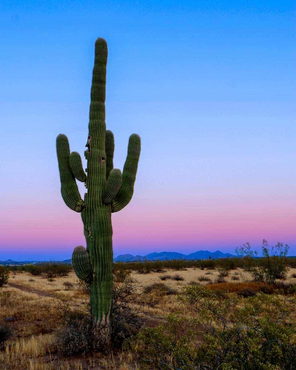 Read more about the article How to Spend THREE Days in Scottsdale, Arizona: 3-Day Itinerary