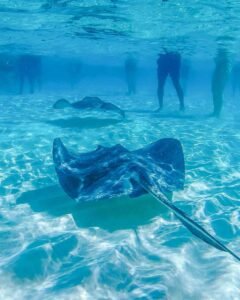 Read more about the article How to Spend THREE Days in Moorea: The Best 3-Day Itinerary
