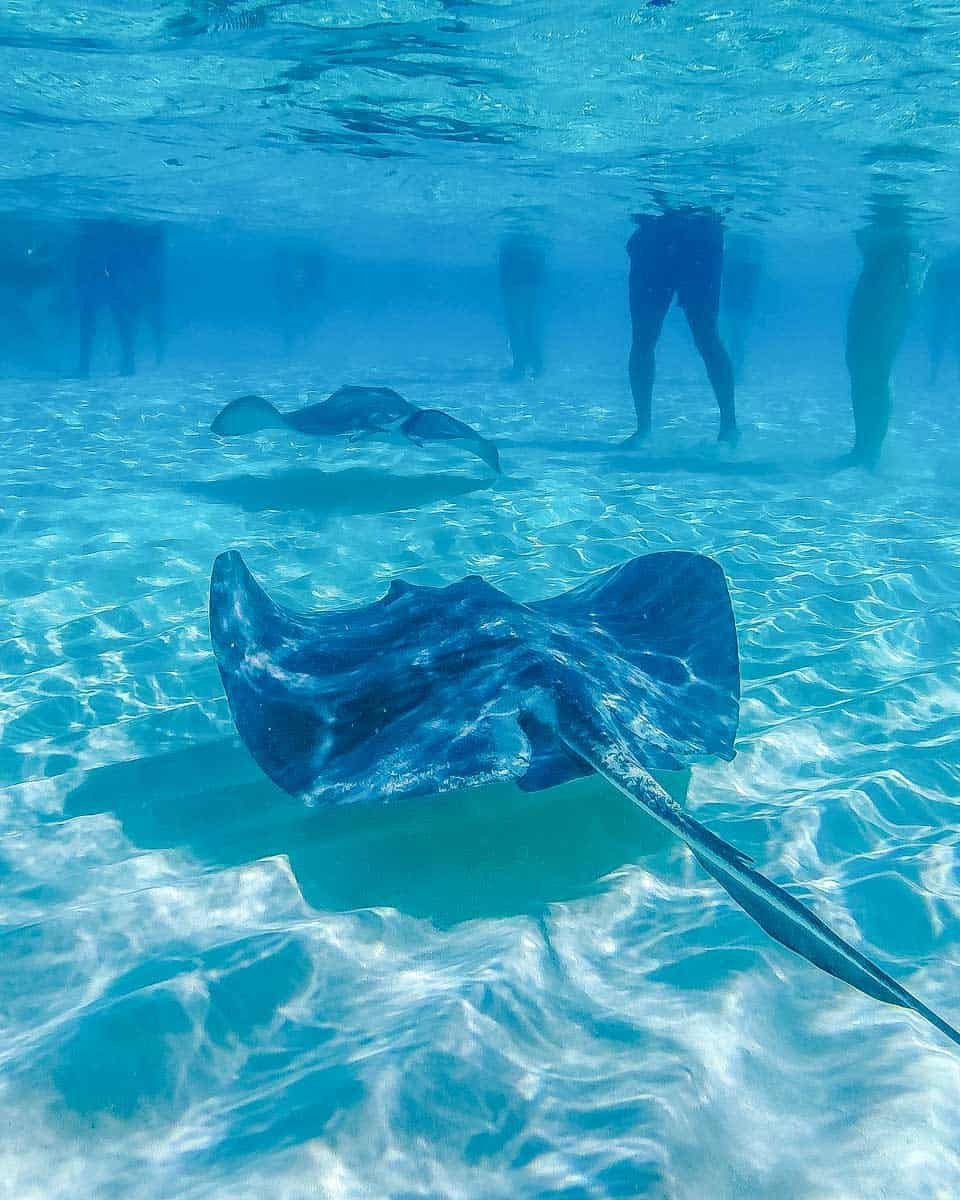 Read more about the article How to Spend THREE Days in Moorea: The Best 3-Day Itinerary