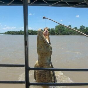 Read more about the article How to Spend THREE DAYS in Darwin, Australia: The Best 3-Day Itinerary