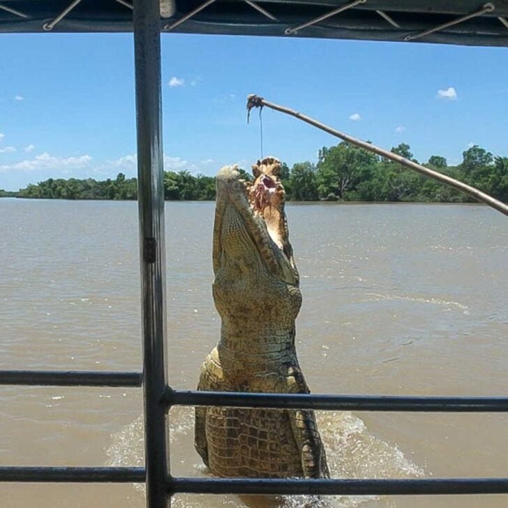 Read more about the article How to Spend THREE DAYS in Darwin, Australia: The Best 3-Day Itinerary