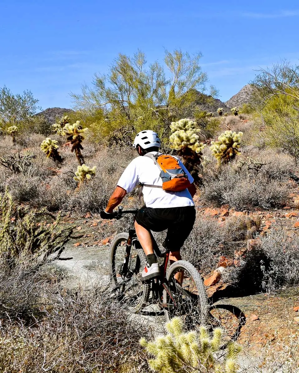 You are currently viewing 10 Best Things to do in Tucson, Arizona